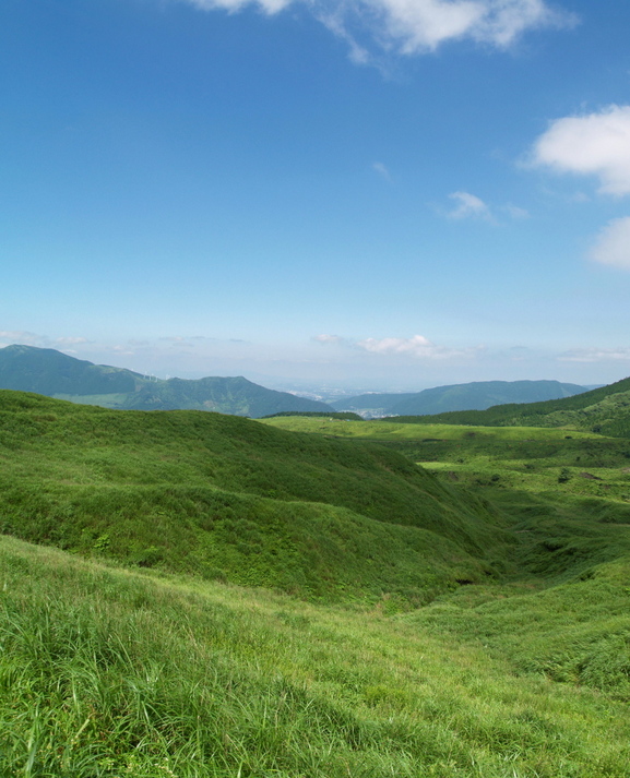 阿蘇の草原