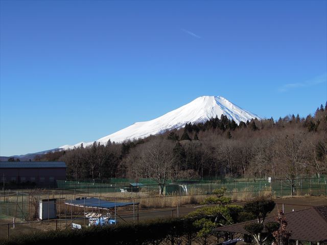 外観・景色