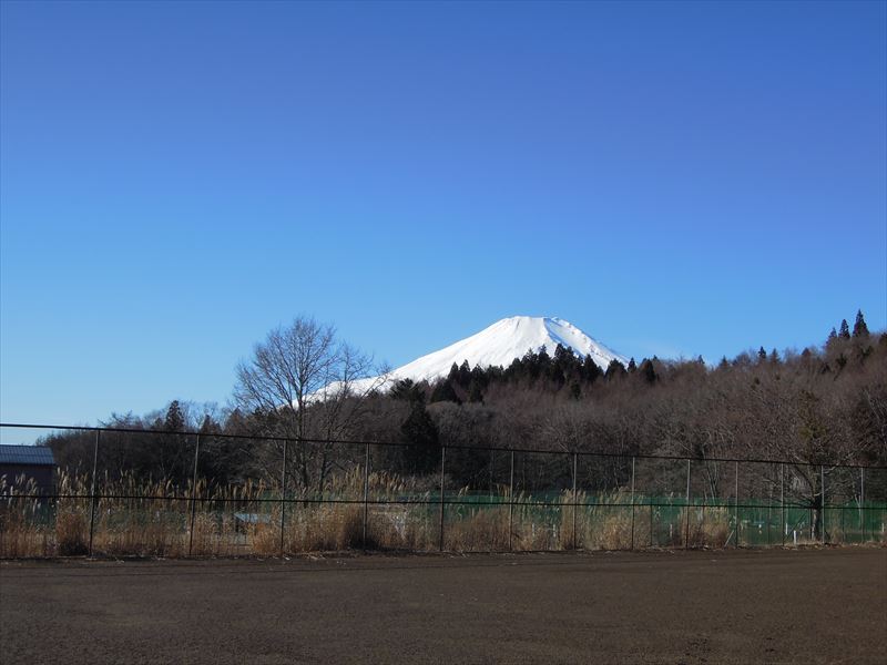 外観・景色