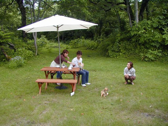 ティーガーデン