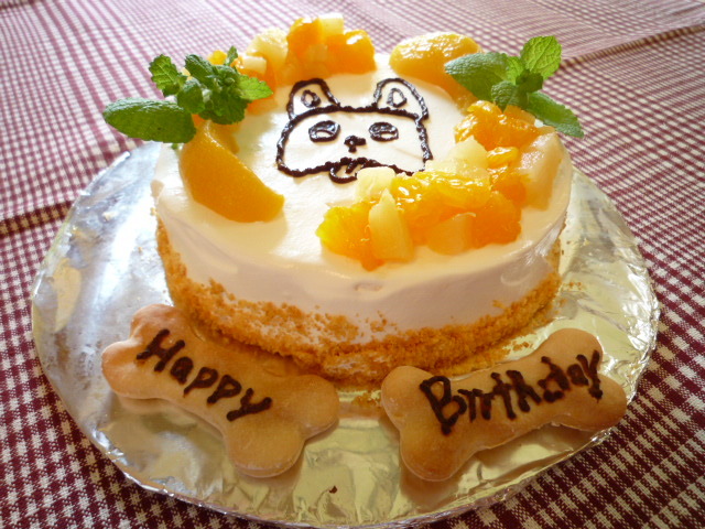 ワンコ用ケーキ！お誕生日にいかがですか！