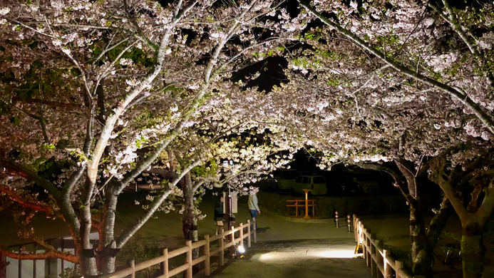 館山城・城山公園