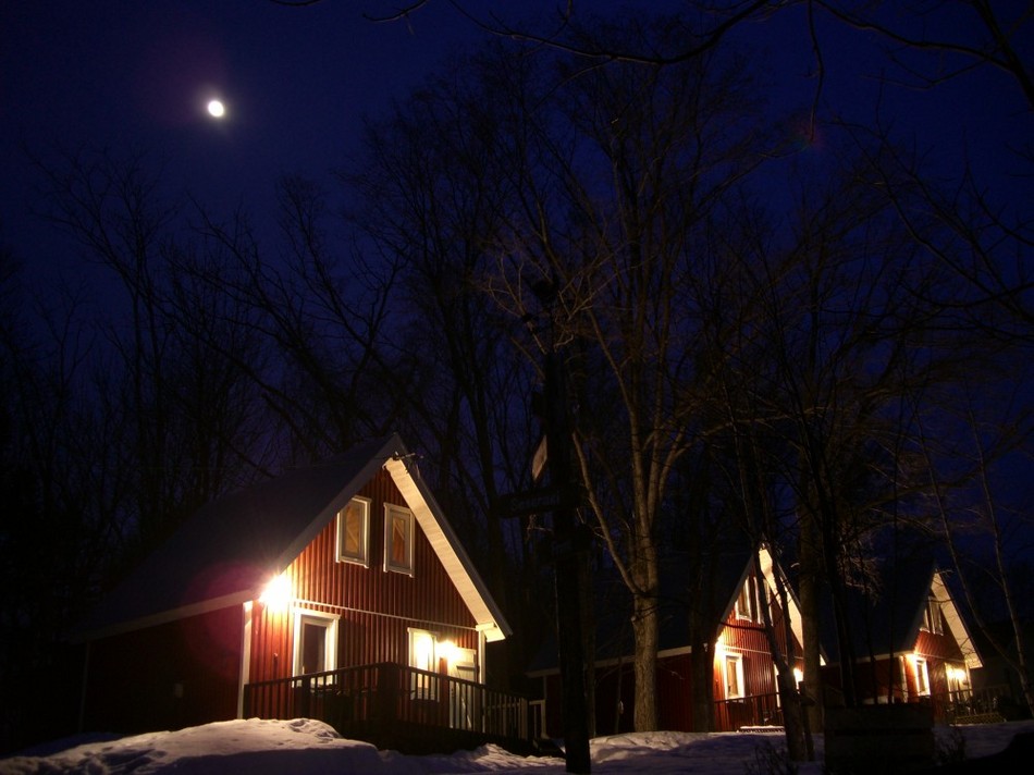 冬の月光とコテージ