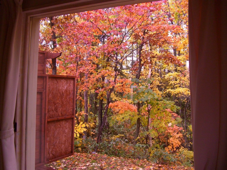 Ｂ棟リビングから眺める美しい秋の彩り