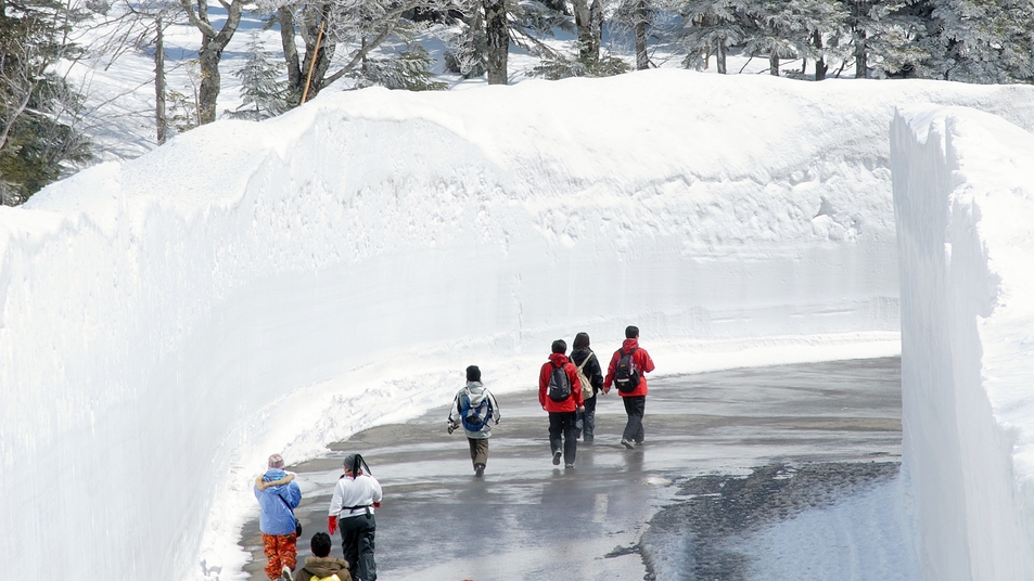 *【アクティビティ】雪の壁を歩く！八甲田ウォーク