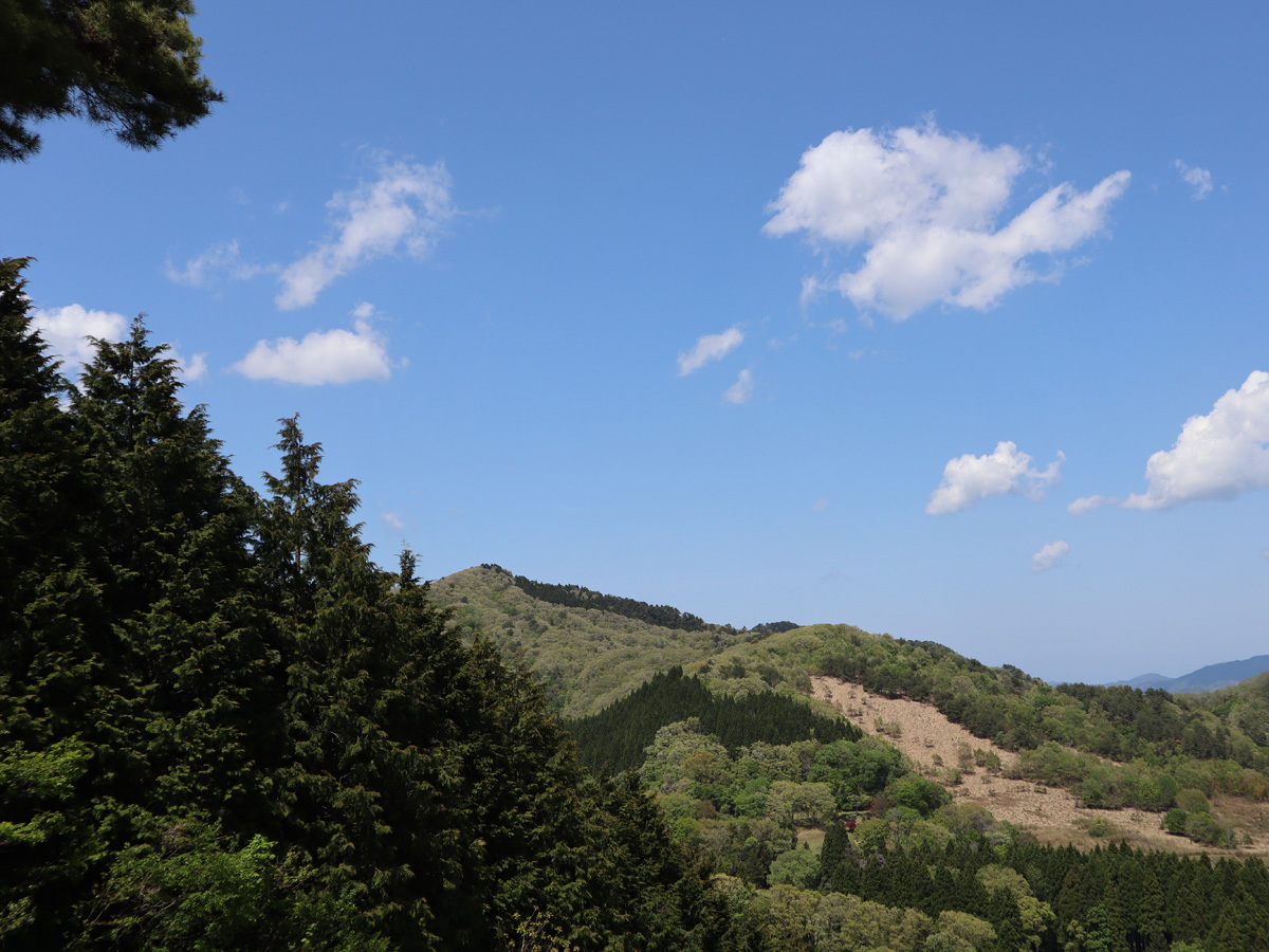 夏の神鍋高原※イメージ