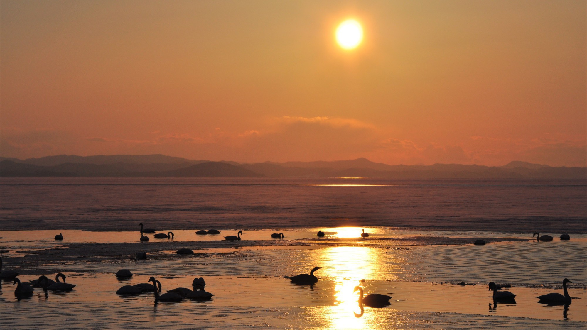 【サロマ湖の夕日（冬）】白鳥が訪れるサロマ湖。冬の凛とした空気が夕日の美しさを際立たせます。