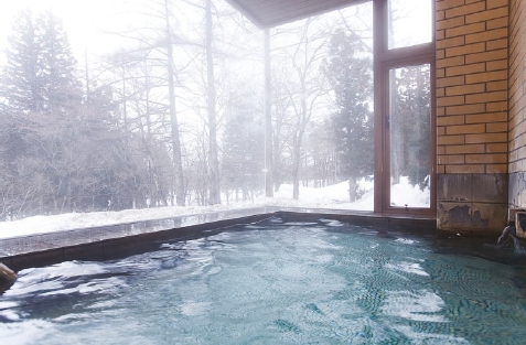 Ikenotaira Onsen Ikenotaira Hotel Saison Image 4, Itoigawa, Japan