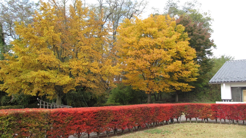 *【秋】春夏秋冬の景色をご覧頂けるビレッジ。秋は色付く紅葉の眺め。