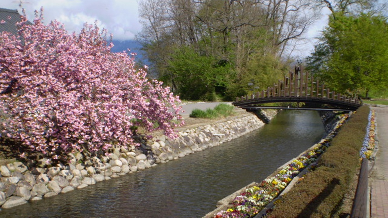*【ビレッジの景色】春は桜をはじめ色とりどりのお花に囲まれるビレッジ。