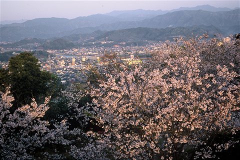 櫛の山公園(くしのやま)