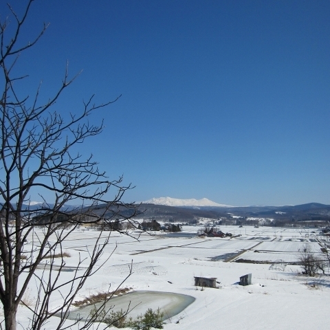 宿からの冬景色