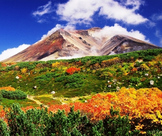 大雪山の紅葉