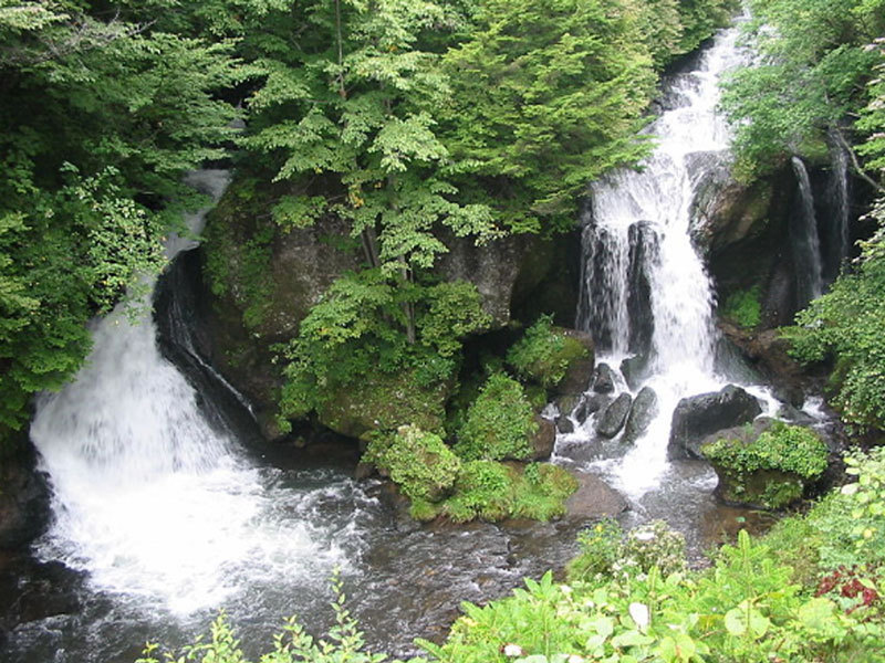 新緑の竜頭の滝