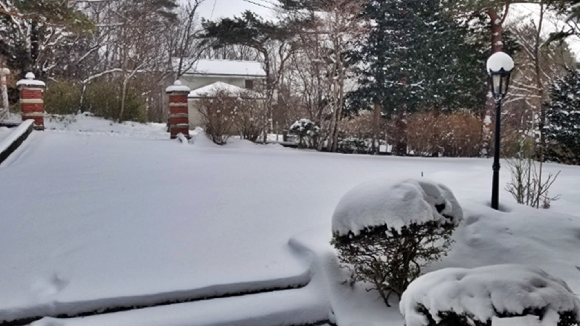 *【冬の外観】春先でもこんなにこんもりと雪が積もることもあります。