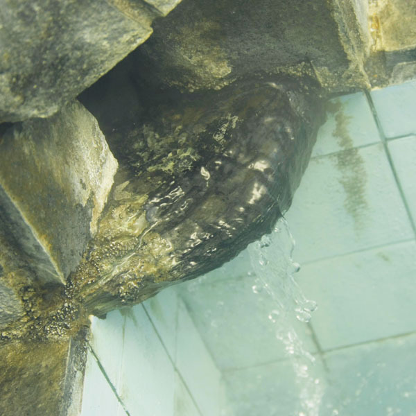 Ikenotaira Onsen Yado Nagomiso Image 5, Itoigawa, Japan