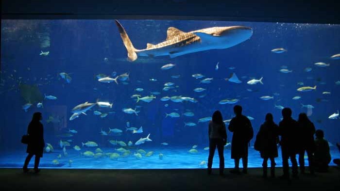 鹿児島水族館