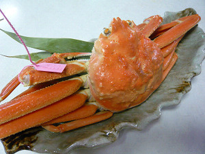 松葉ガニゆでがに