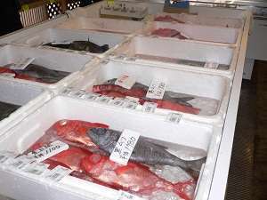 道の駅富楽里岩井漁協毎日水揚されたお魚が並びます