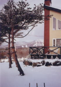 冬のかぷりーす