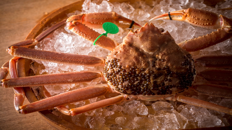 1日8組限定-間人蟹と地魚料理-大人の絶景隠れ宿 寿海亭のnull