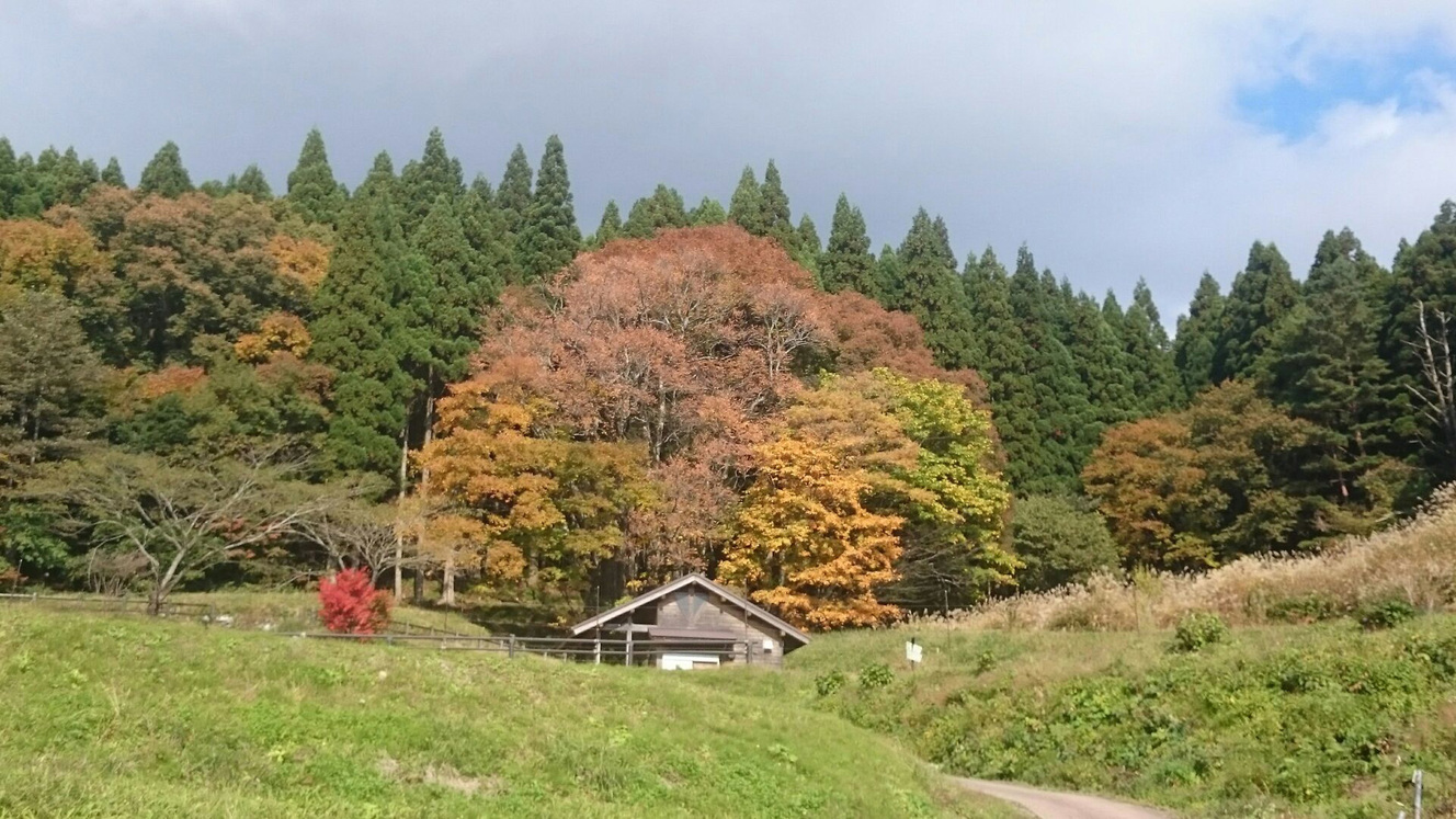*秋には周囲の木々が色づきます