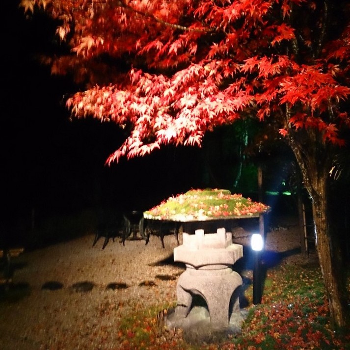 秋のお庭ライトアップ