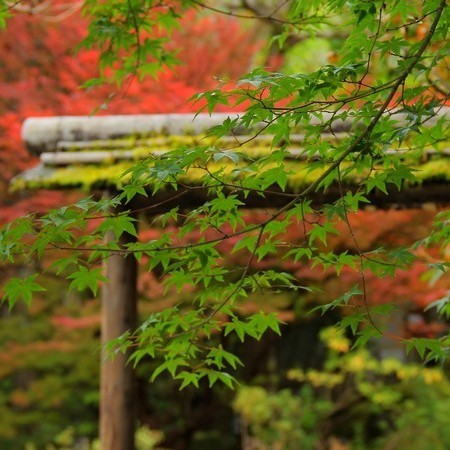 Nikko Onsen Nikko Hoshi no Yado Inn