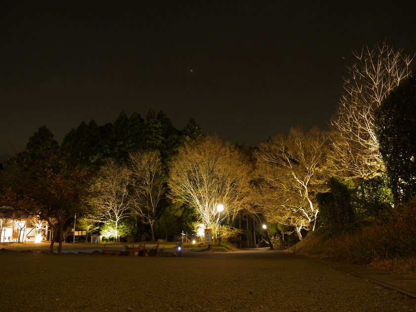 夜間全景