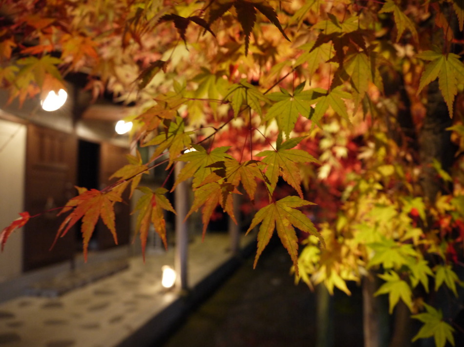 紅葉の季節もみじが綺麗 家族湯外観