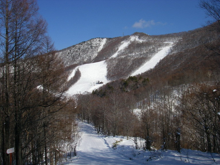 *【会津高原たかつえスキー場】第４ペアリフト終点から山頂コース方面