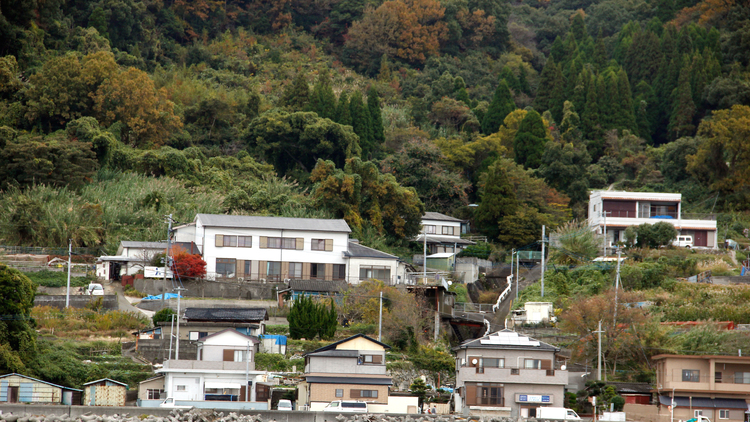 海から見る当館