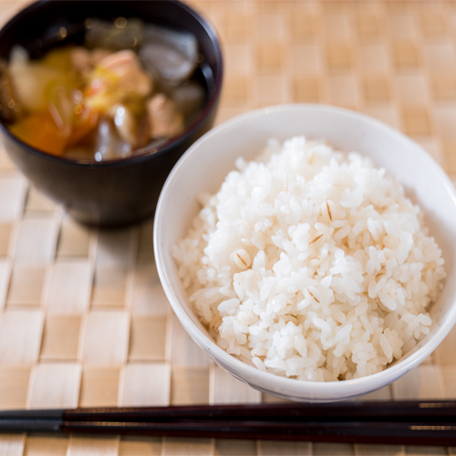 石川県小松市の環境王国で育てられた自然に優しい特別栽培米コシヒカリ