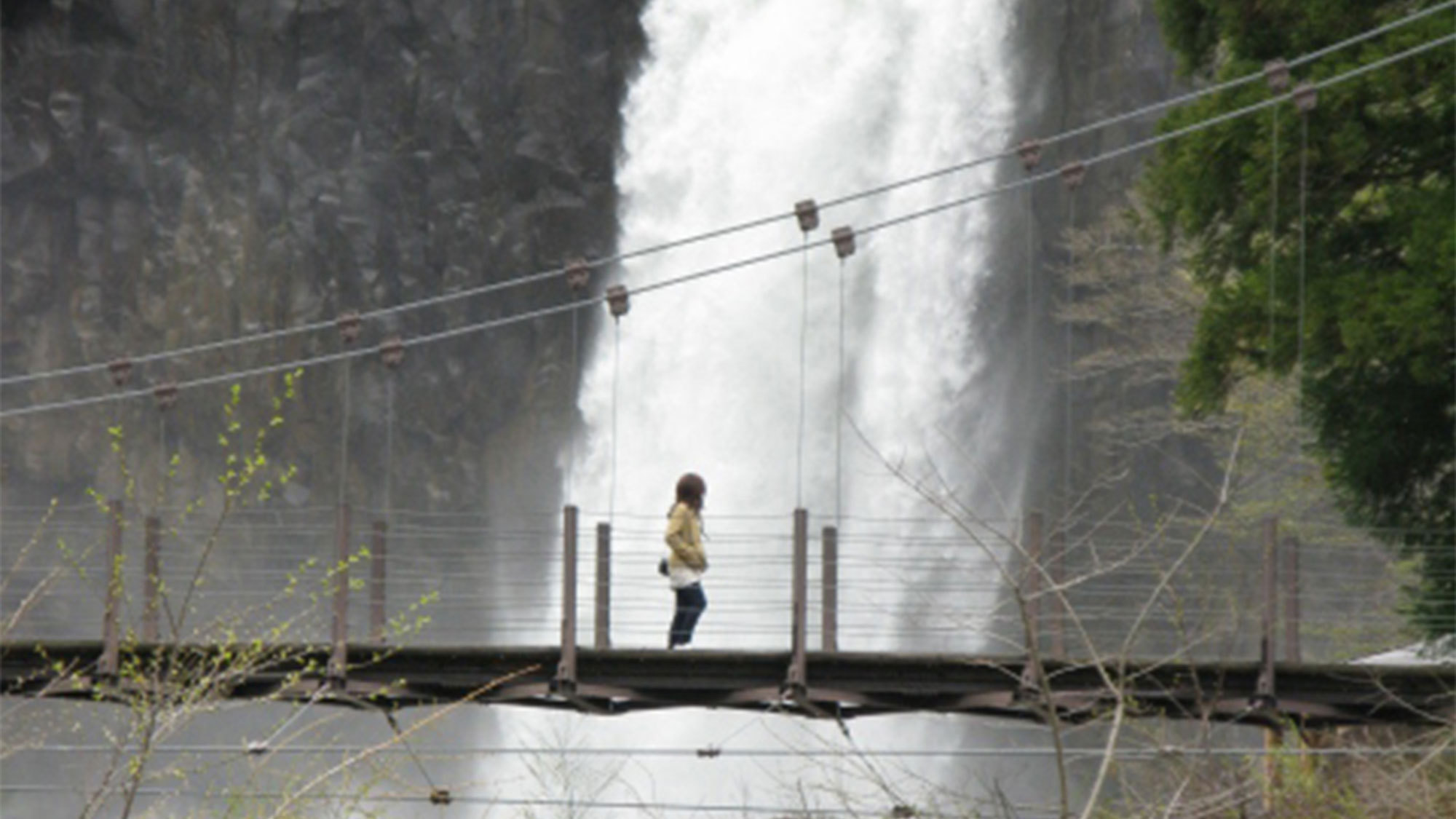 ・＜自然＞吊り橋を渡ると滝つぼ近くまで行くことができます