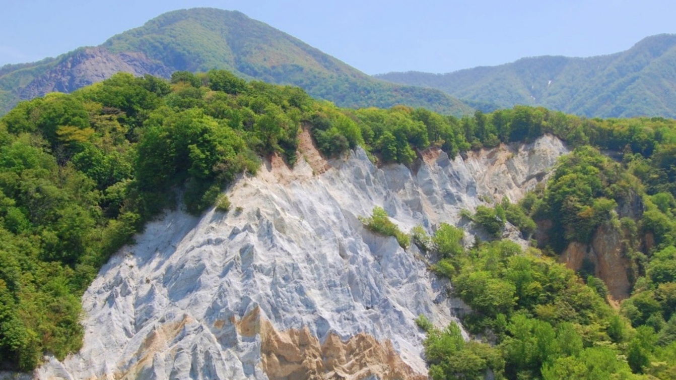 日本キャニオン