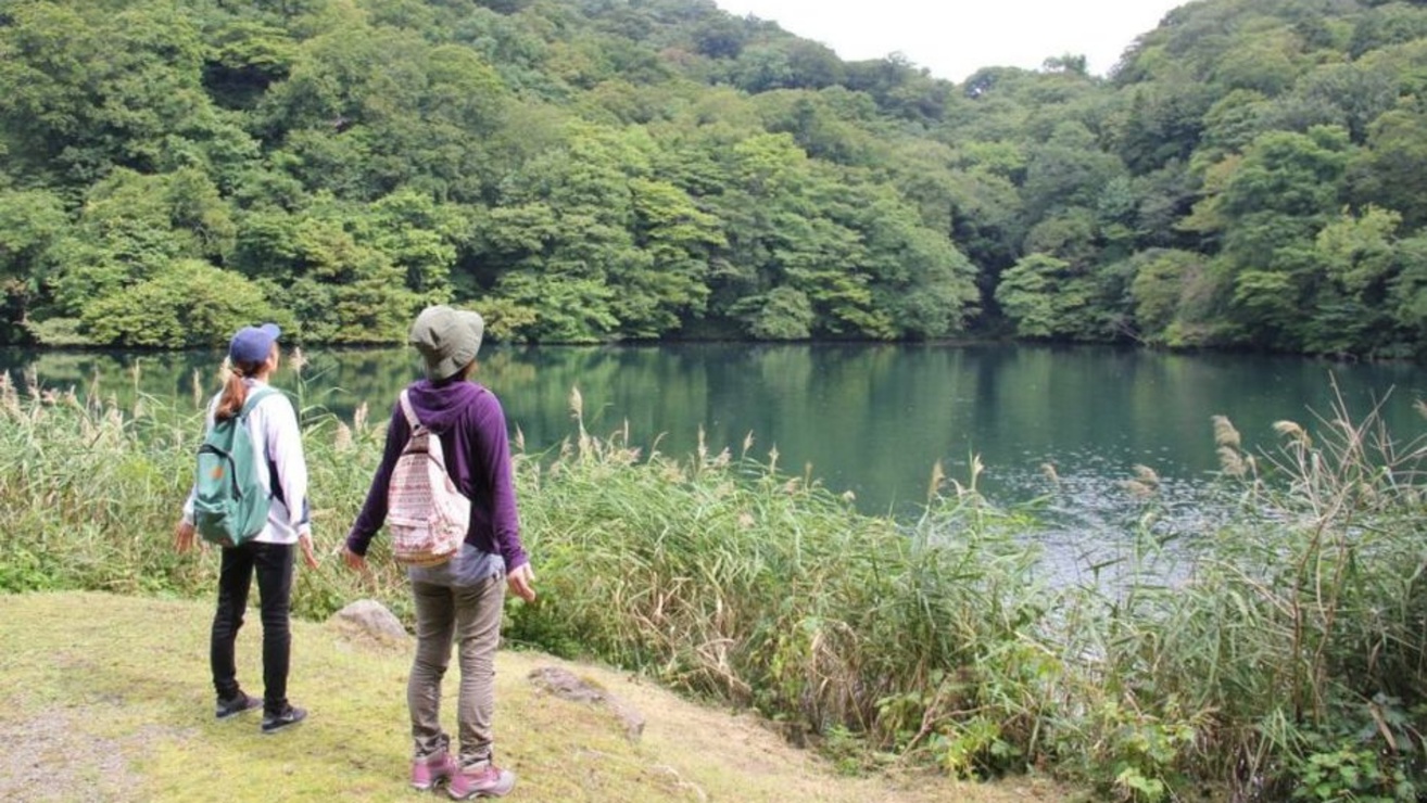 セラピーイメージ