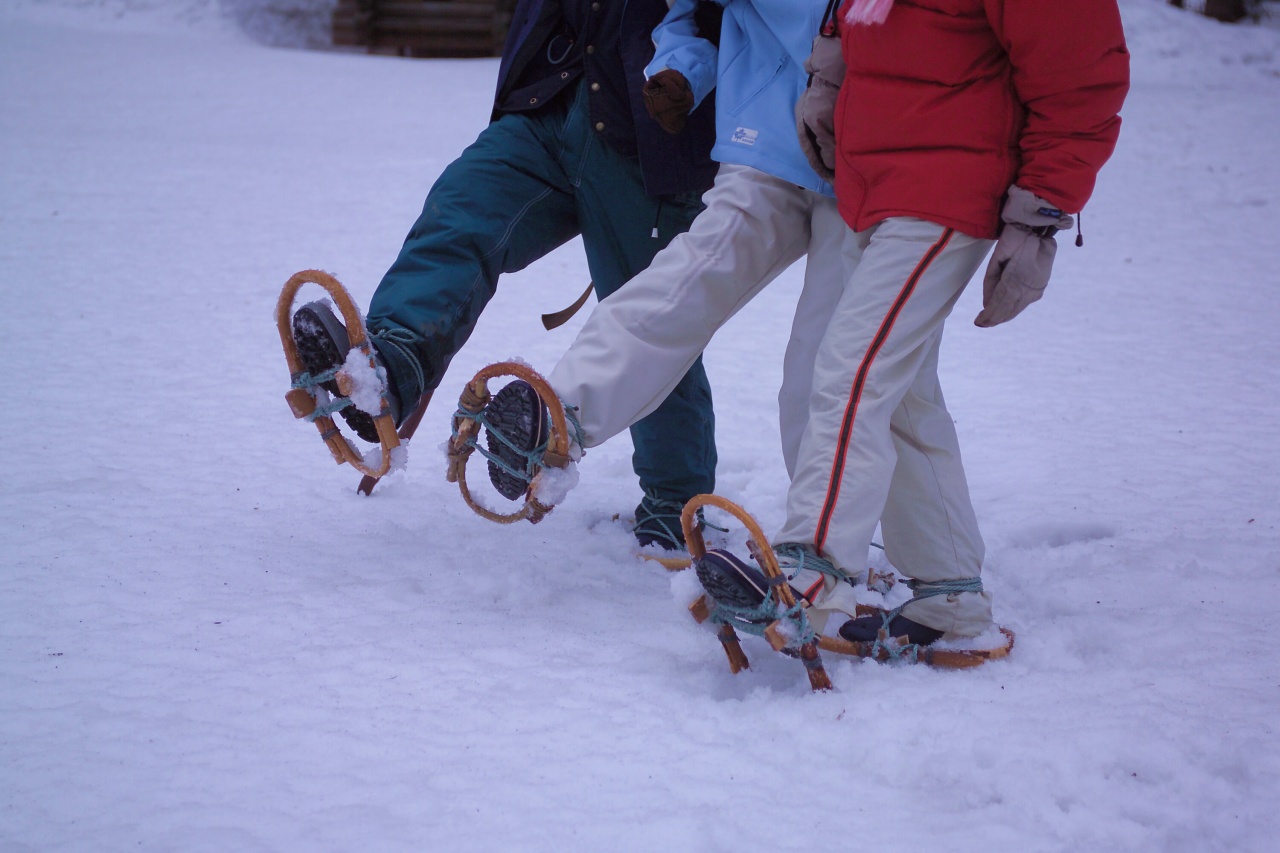 【冬の体験ツアー】 スノーハイク