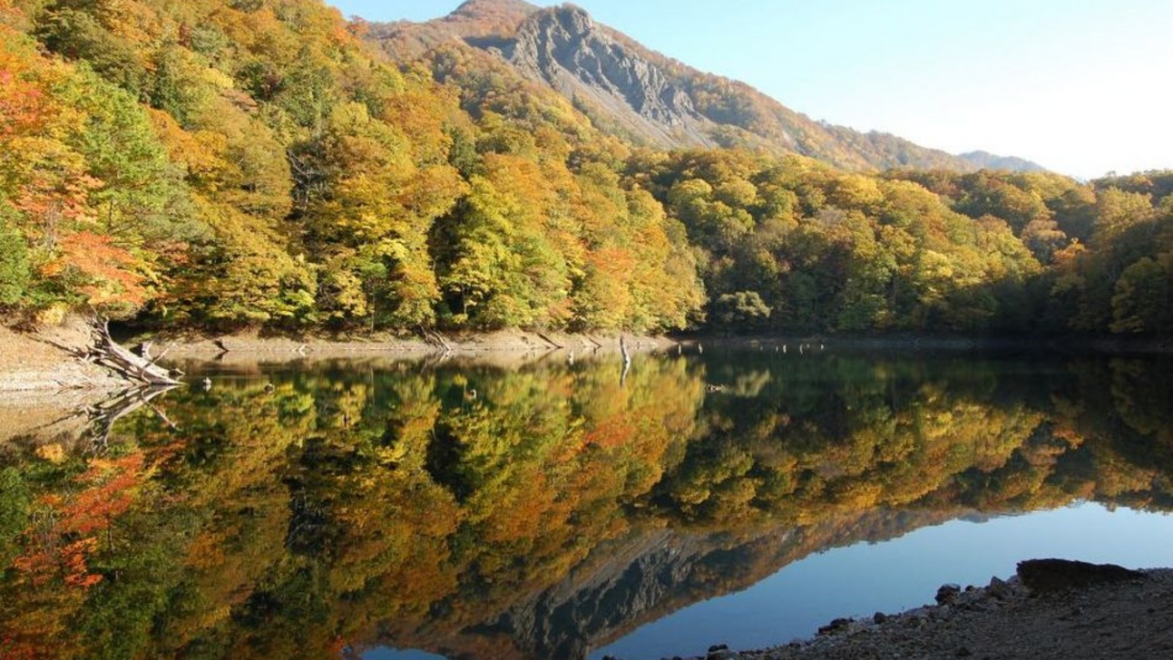 秋の鶏頭場の池