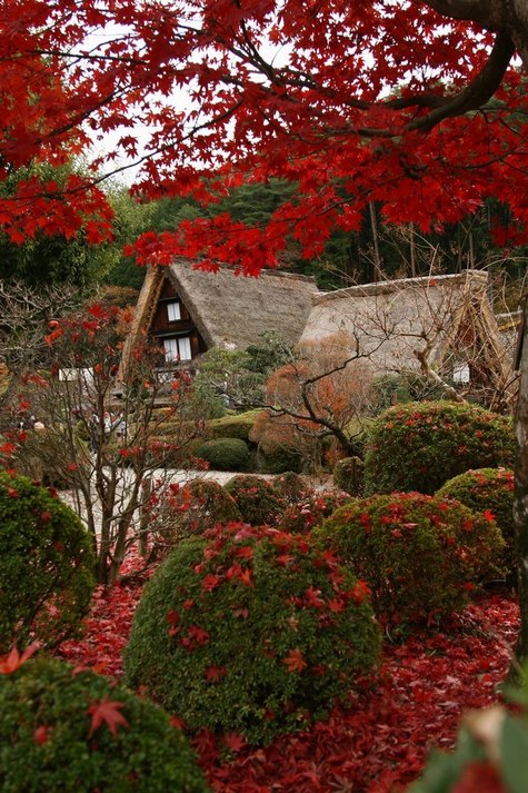 紅葉時期の合掌村