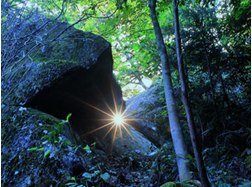 金山巨石郡