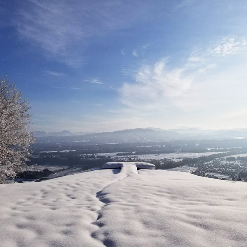 雪散歩