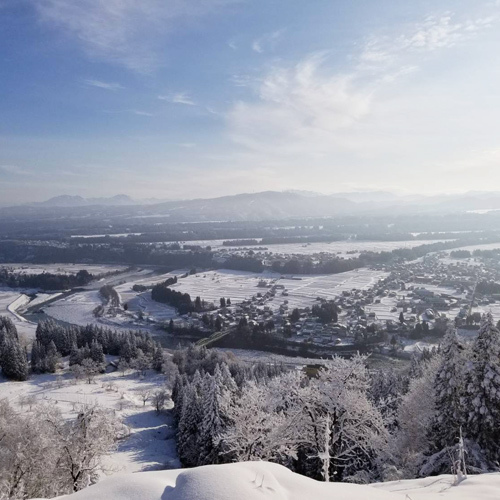 雪散歩