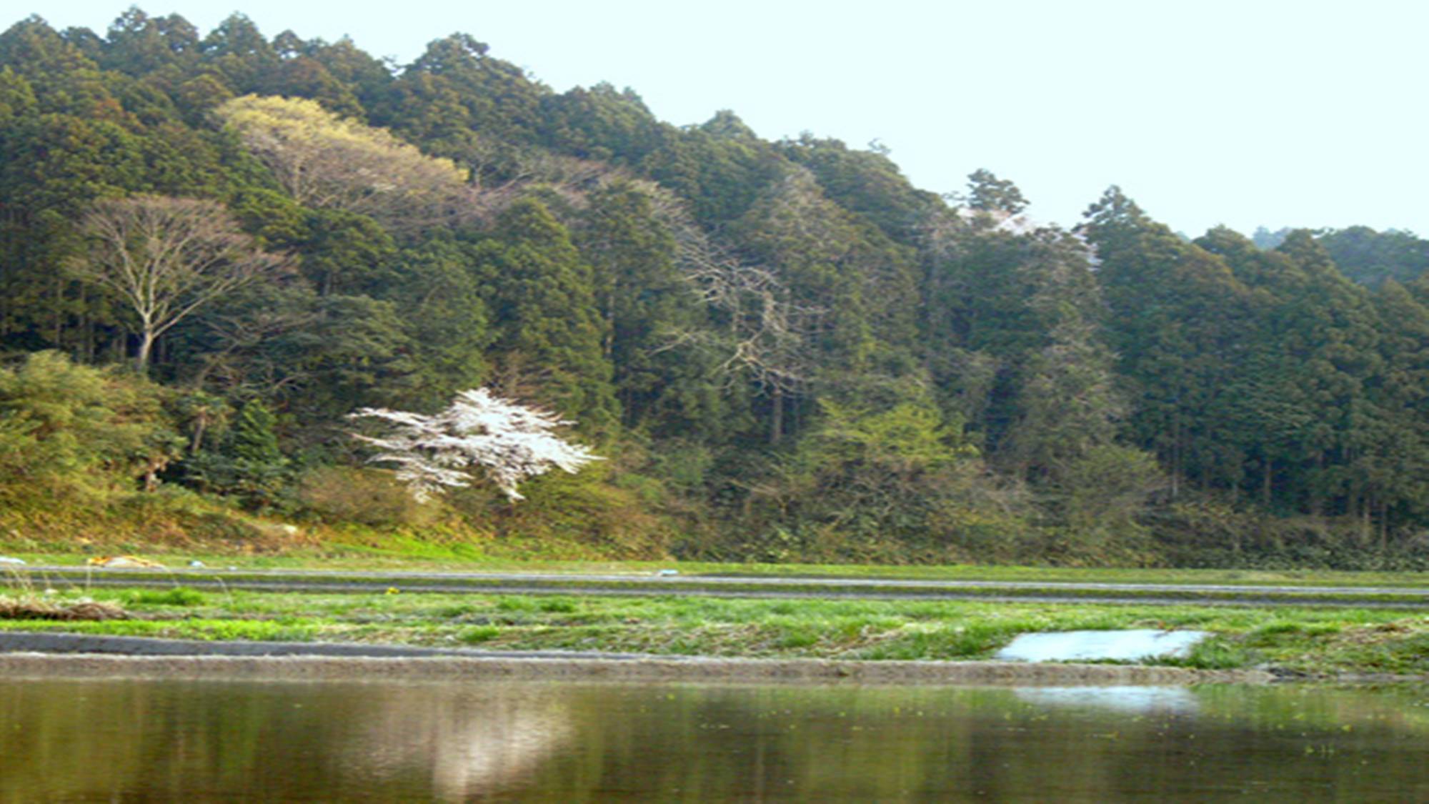 *のどかな田園風景  山あいにあるのどかな雰囲気で和める当館でのんびりしていってください。