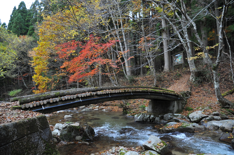 国定公園に指定されている芦津渓谷は、千代川の源流域に広がる美しい渓谷です。写真提供：鳥取県