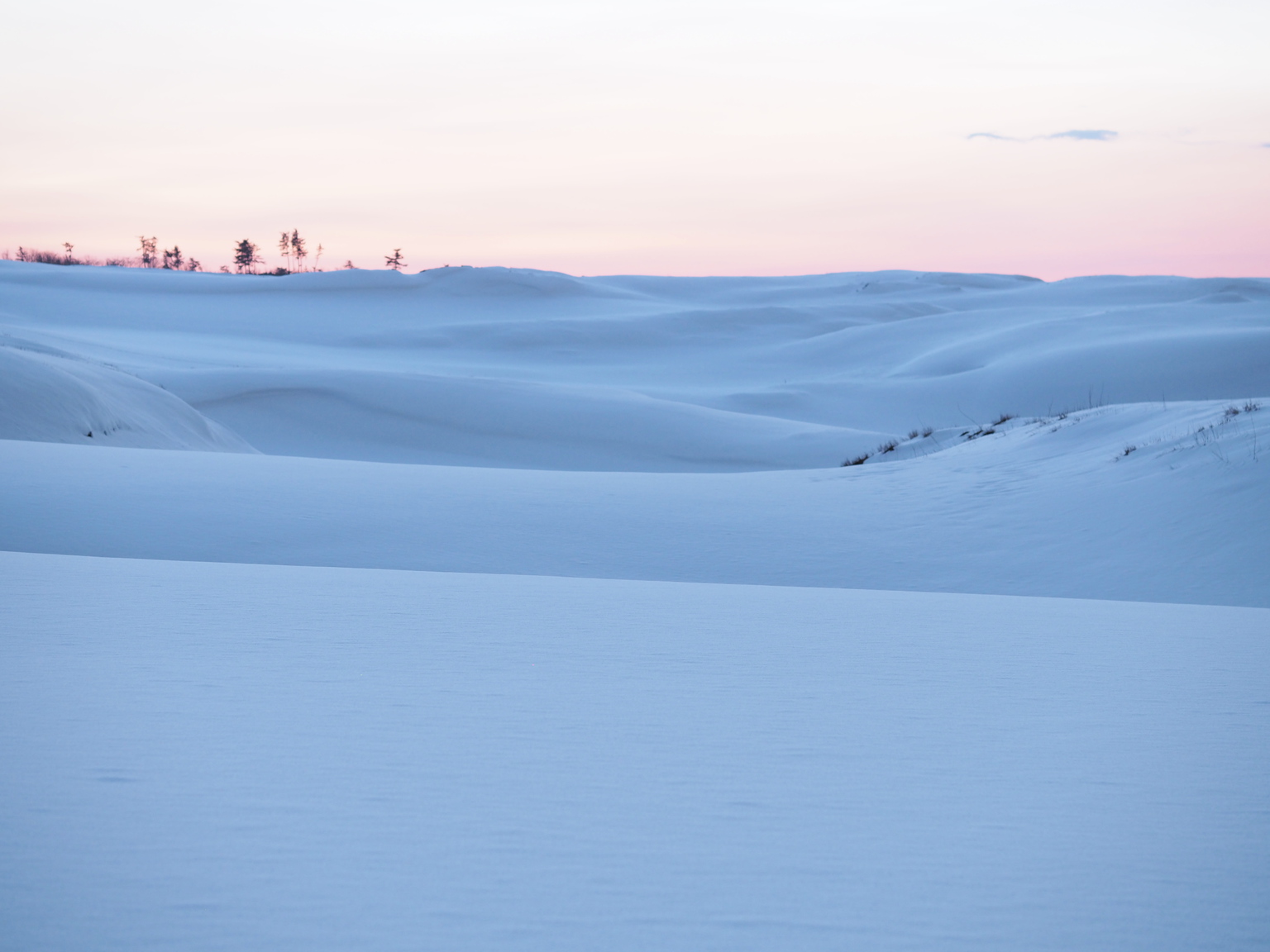 鳥取砂丘では四季折々の風景を楽しむことができます。写真提供：鳥取県