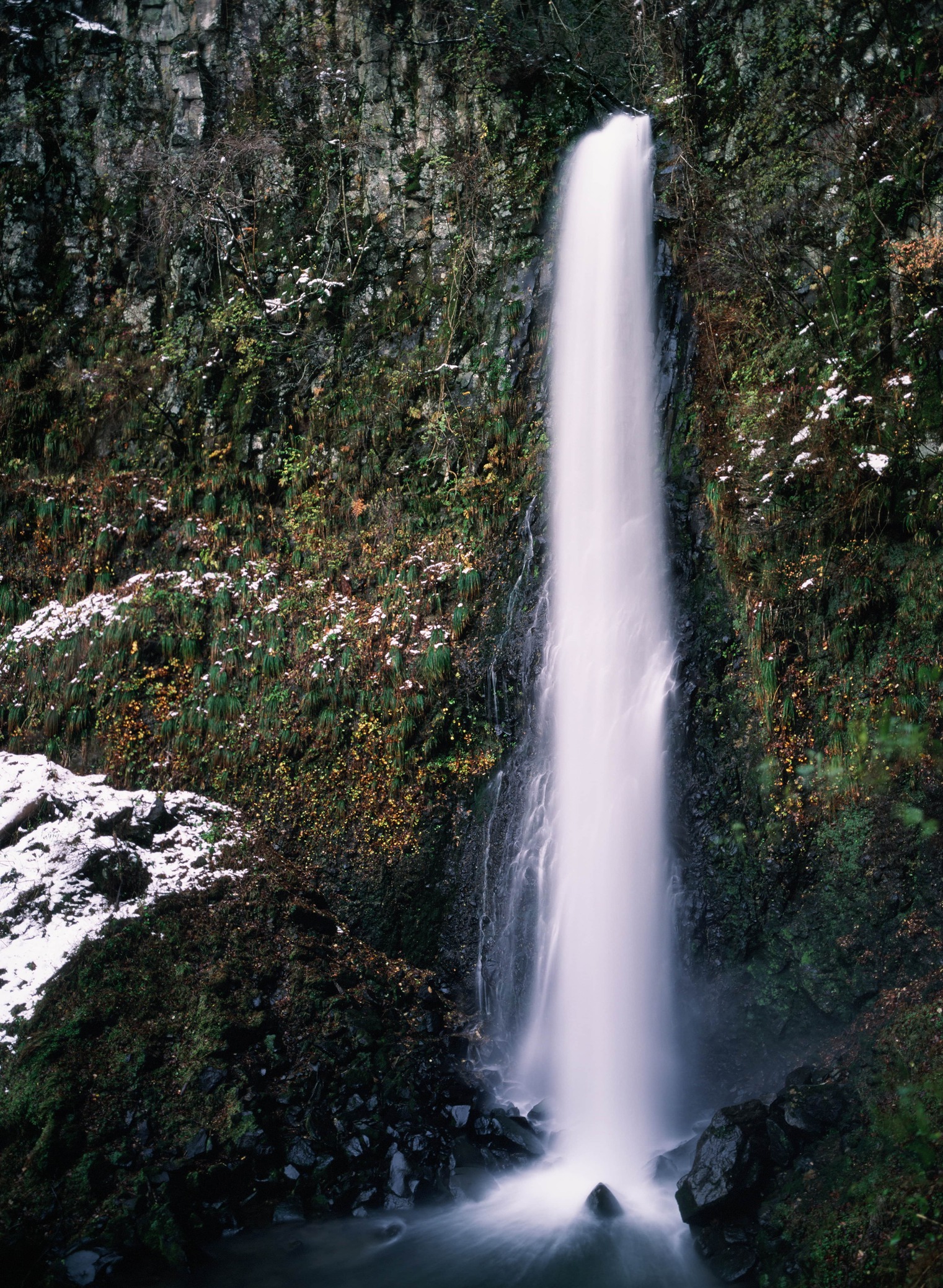 「日本の滝百選」にも選ばれた雨滝。知る人ぞ知るパワースポットです。写真提供：鳥取県