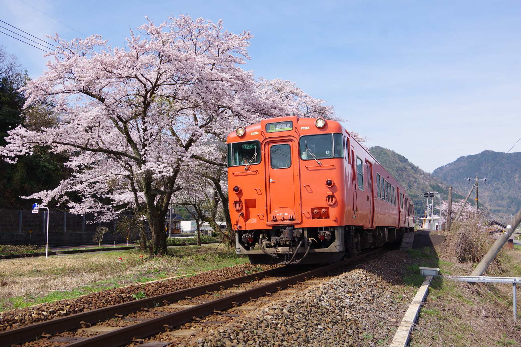 鳥取には様々なデザインの鉄道が走っています。鉄道でのノスタルジックな旅も魅力的です。写真提供：鳥取県