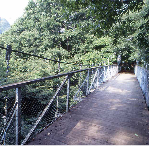 「夏の景色」自然がいっぱい