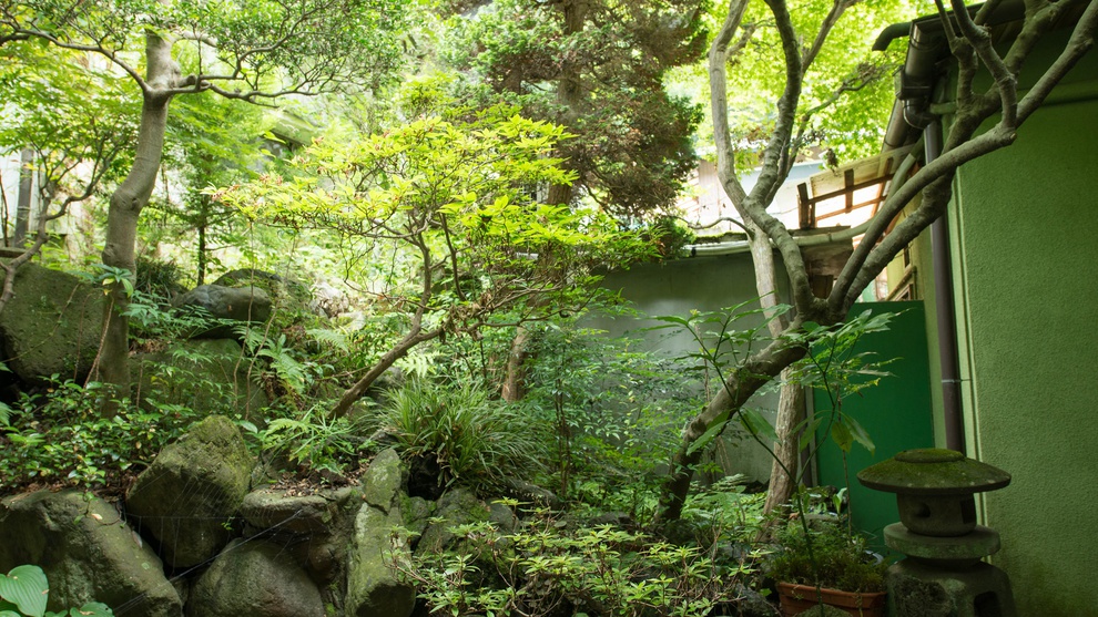 Shimobe Onsen Motoyu Ryokan Daikokuya Image 5, Minobu, Japan