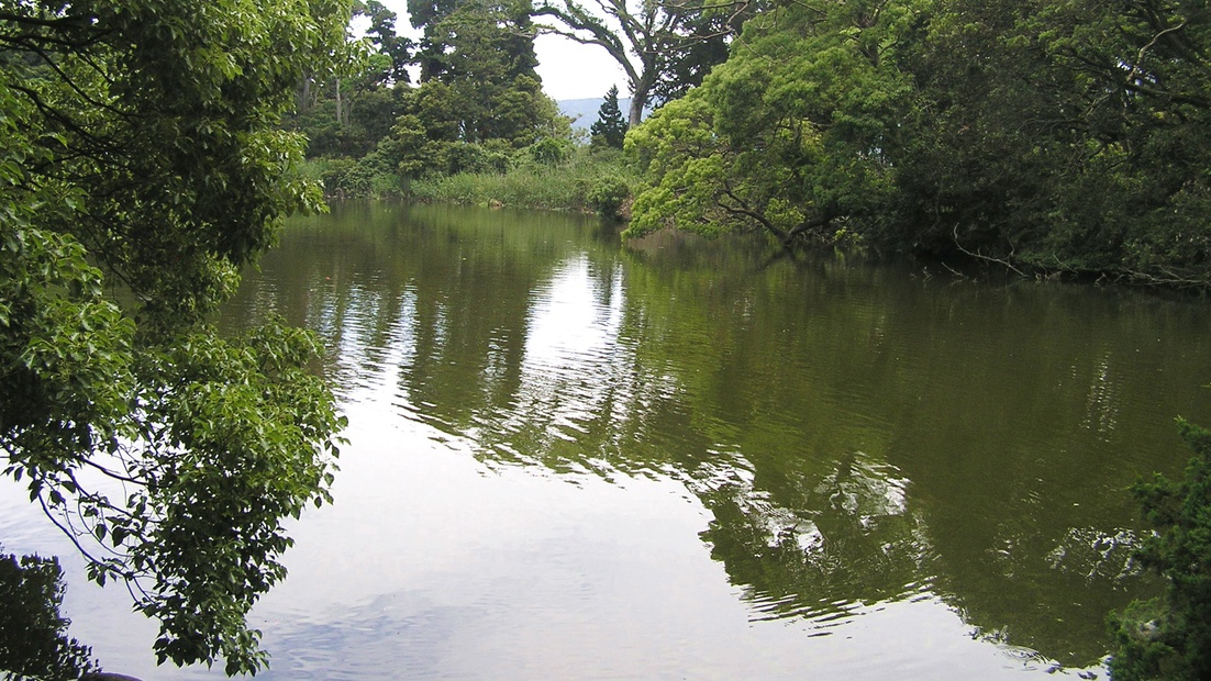 *神池／パワースポットといわれる大瀬崎にあり、海に近いのに淡水の池は伊豆の七不思議ともいわれる。